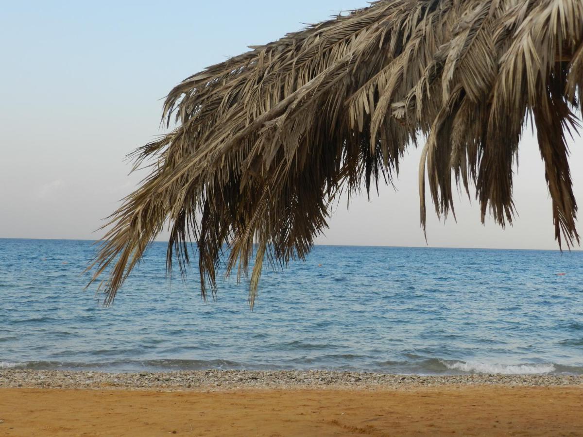 עיין סוחנה Telal Ain Sokhna Villa מראה חיצוני תמונה